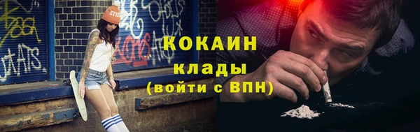 амф Гусь-Хрустальный