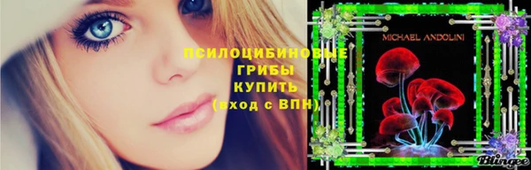 PSILOCYBIN Гусиноозёрск