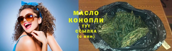 амф Гусь-Хрустальный