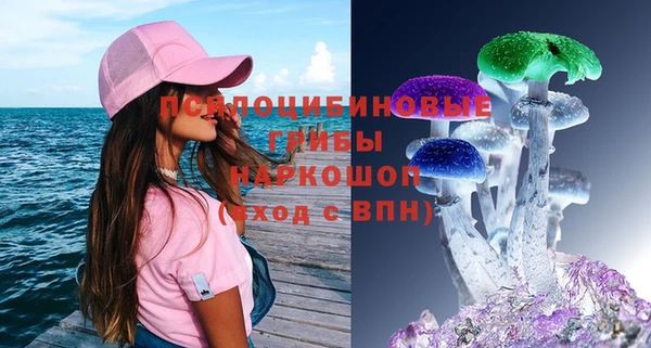 бутират Гусев