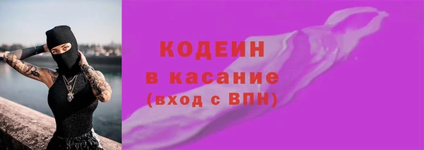 амф Гусь-Хрустальный