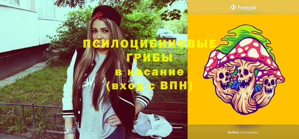 амф Гусь-Хрустальный
