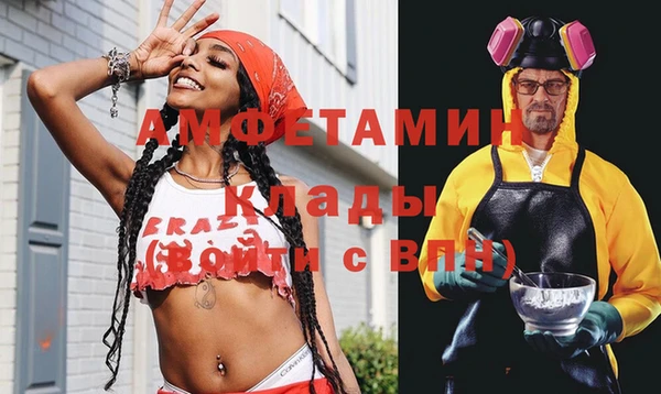 амф Гусь-Хрустальный