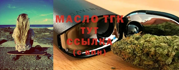 амф Гусь-Хрустальный