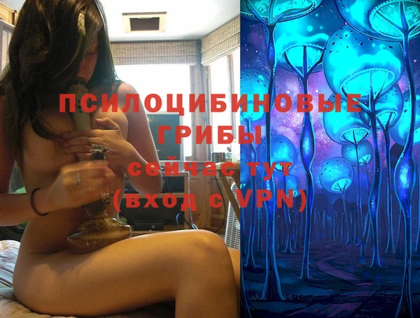 амф Гусь-Хрустальный