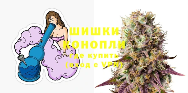 амф Гусь-Хрустальный