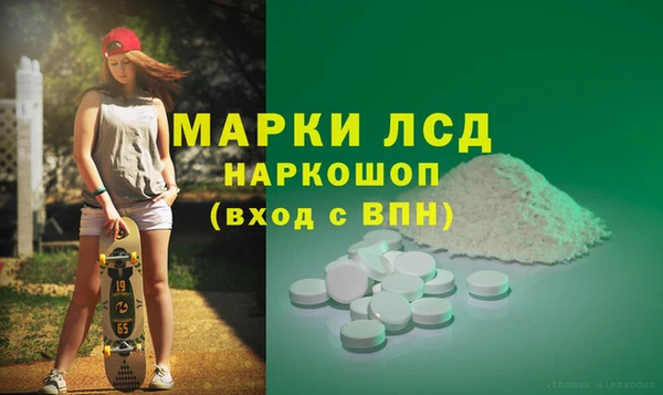 PSILOCYBIN Гусиноозёрск