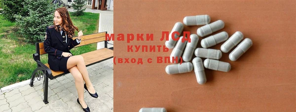 PSILOCYBIN Гусиноозёрск
